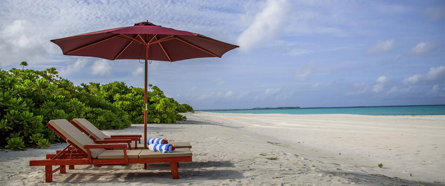 Sun Loungers Showcase 3