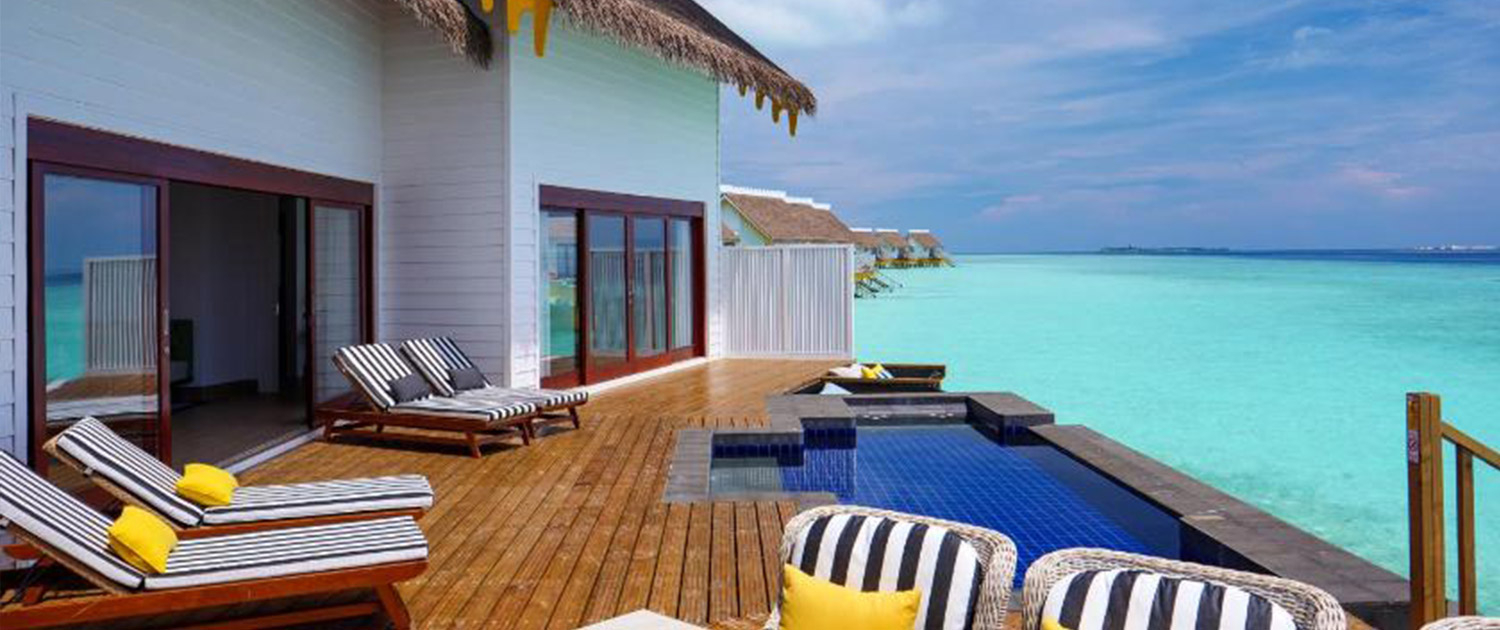 Sun Loungers Showcase 1