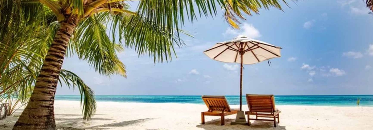 Teak Wood Umbrellas